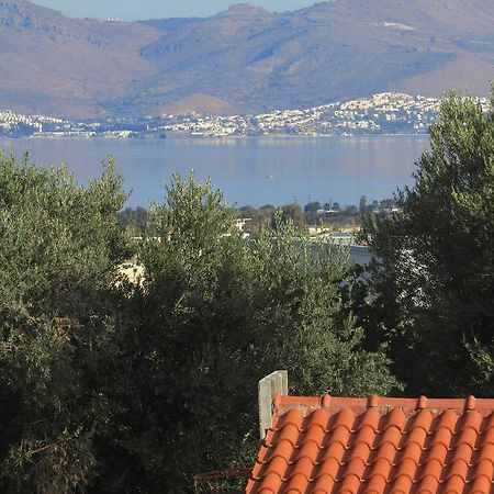 Asklipion Valley Guest House Città di Kos Esterno foto