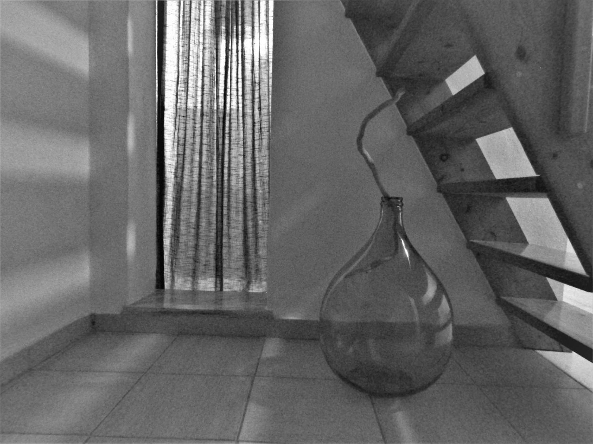 Asklipion Valley Guest House Città di Kos Esterno foto
