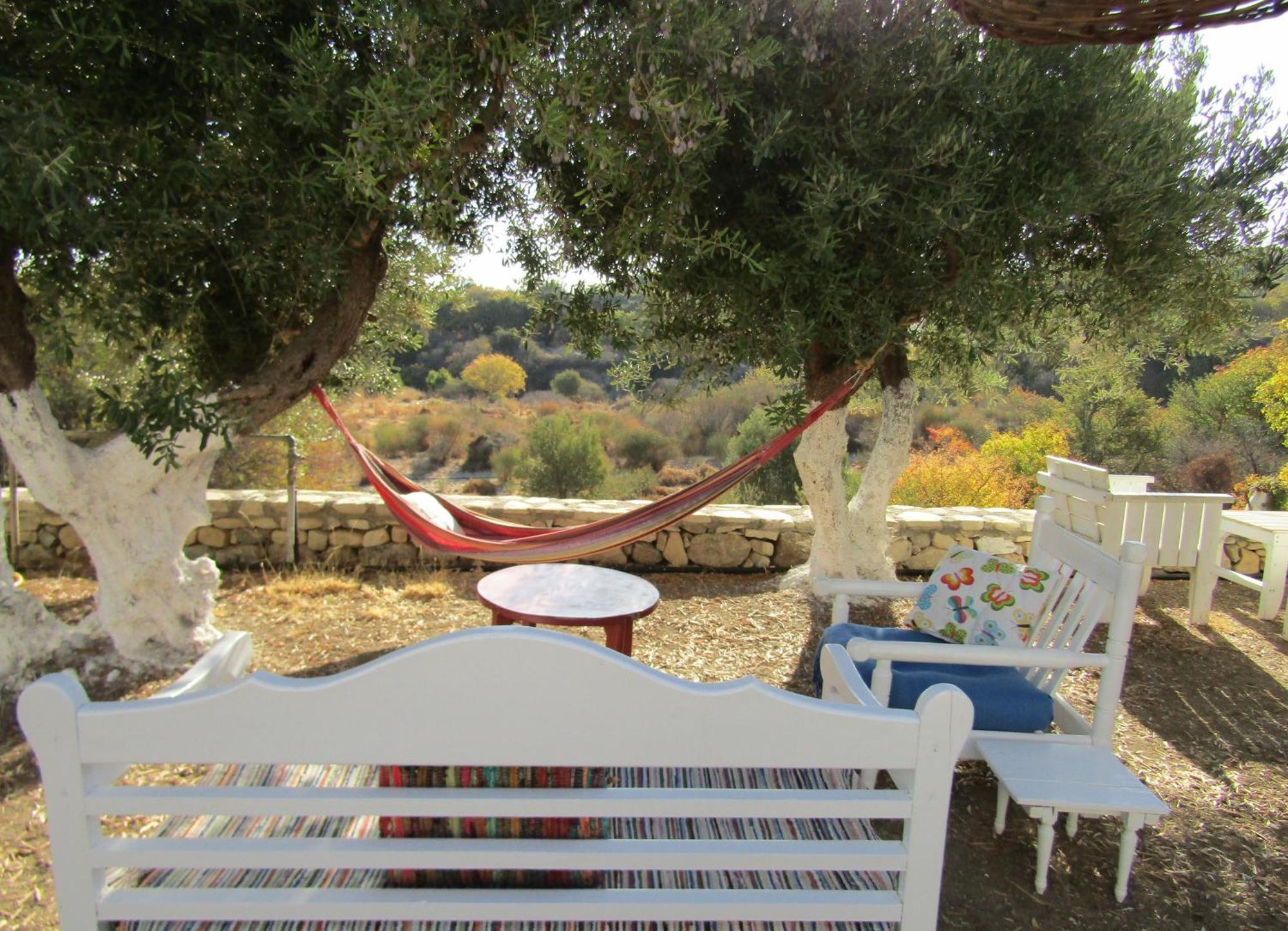 Asklipion Valley Guest House Città di Kos Esterno foto