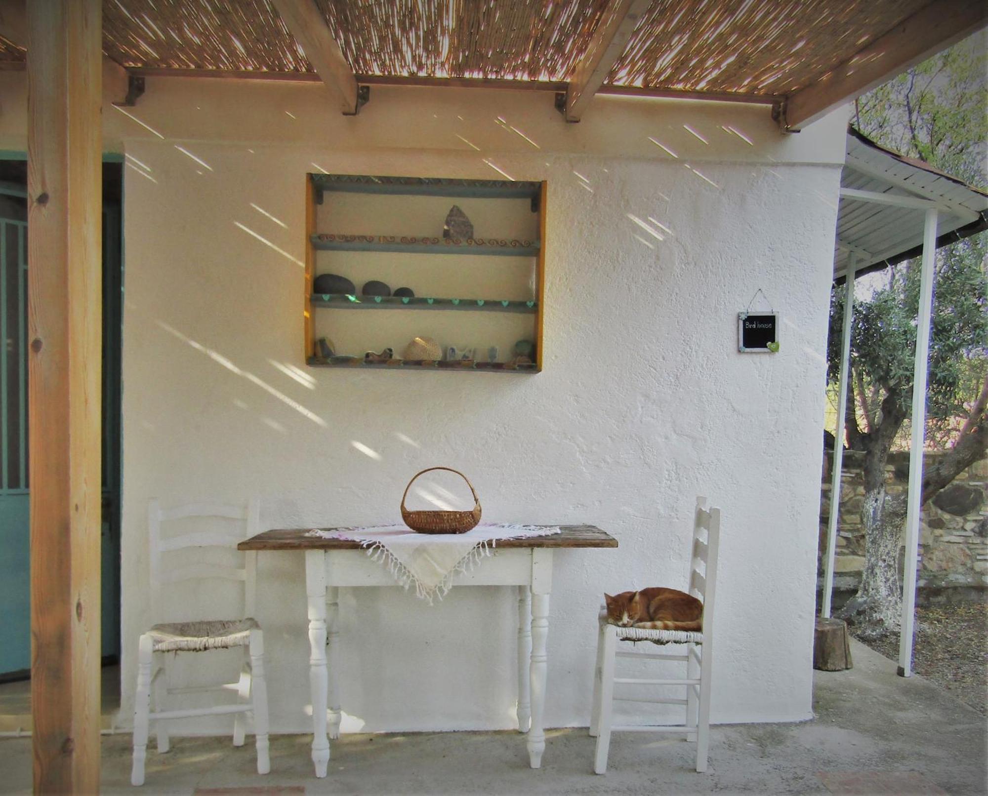 Asklipion Valley Guest House Città di Kos Esterno foto