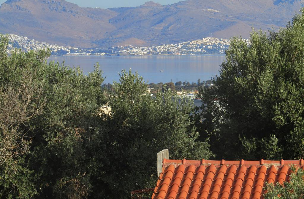 Asklipion Valley Guest House Città di Kos Esterno foto