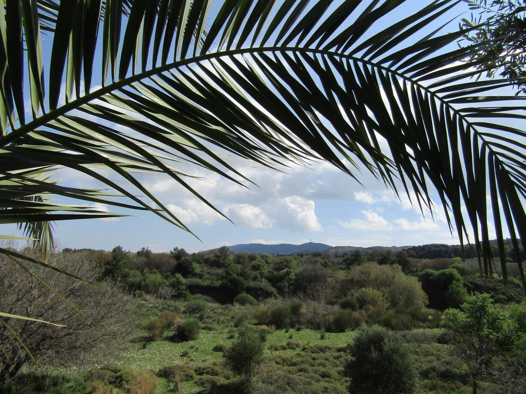 Asklipion Valley Guest House Città di Kos Esterno foto